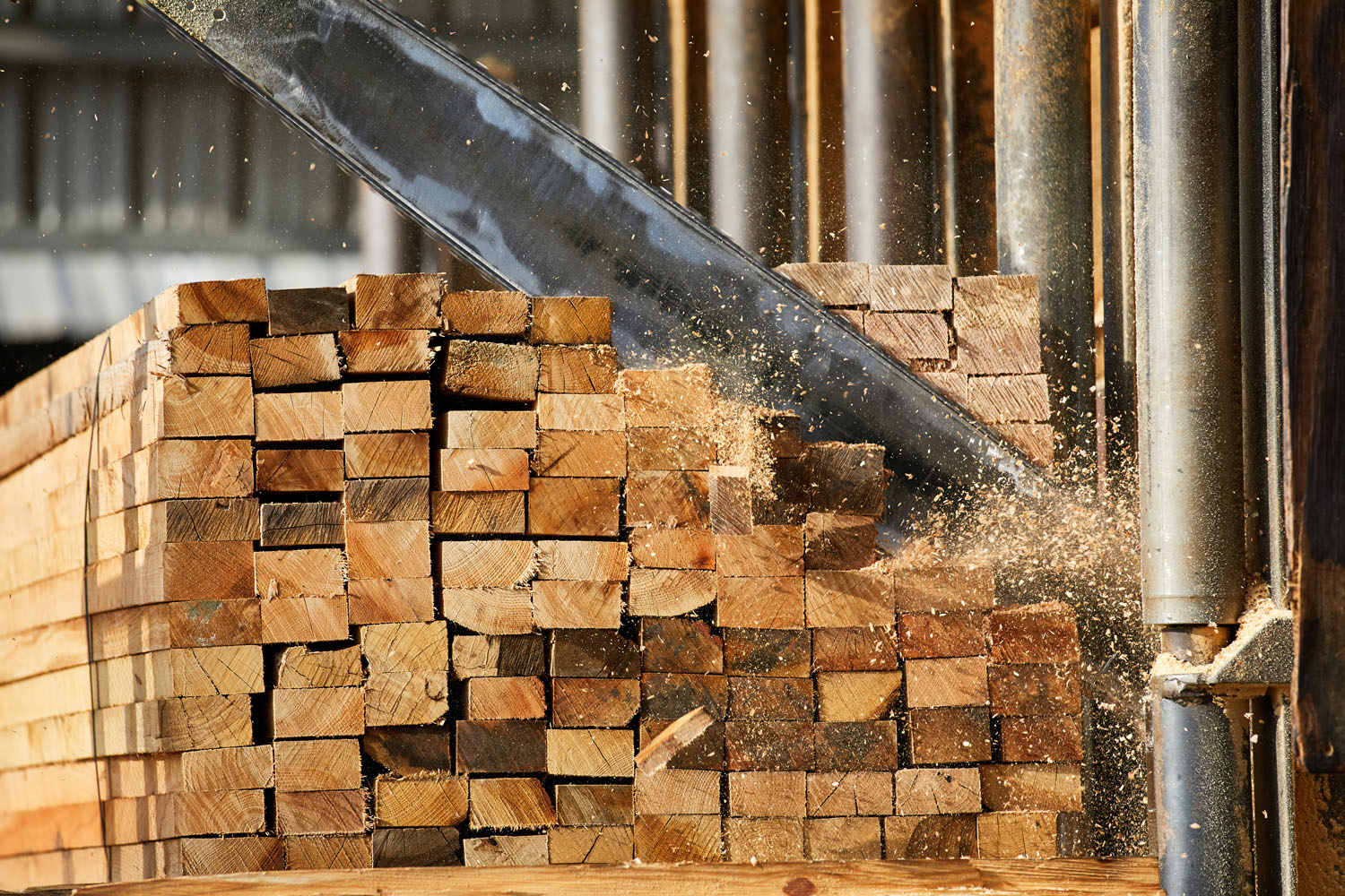 lumber exporter lumber exporter