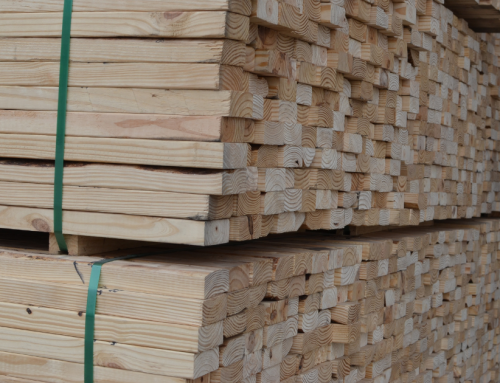 Southern Yellow Pine Lumber: What Industrial Buyers Need to Know
