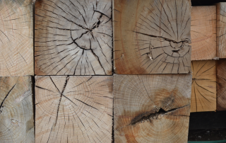 Large hardwood lumber shown from the end